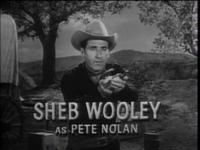 Image result for sheb wooley