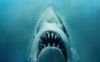 Jaws