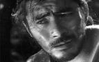 Rashomon