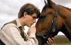 War Horse